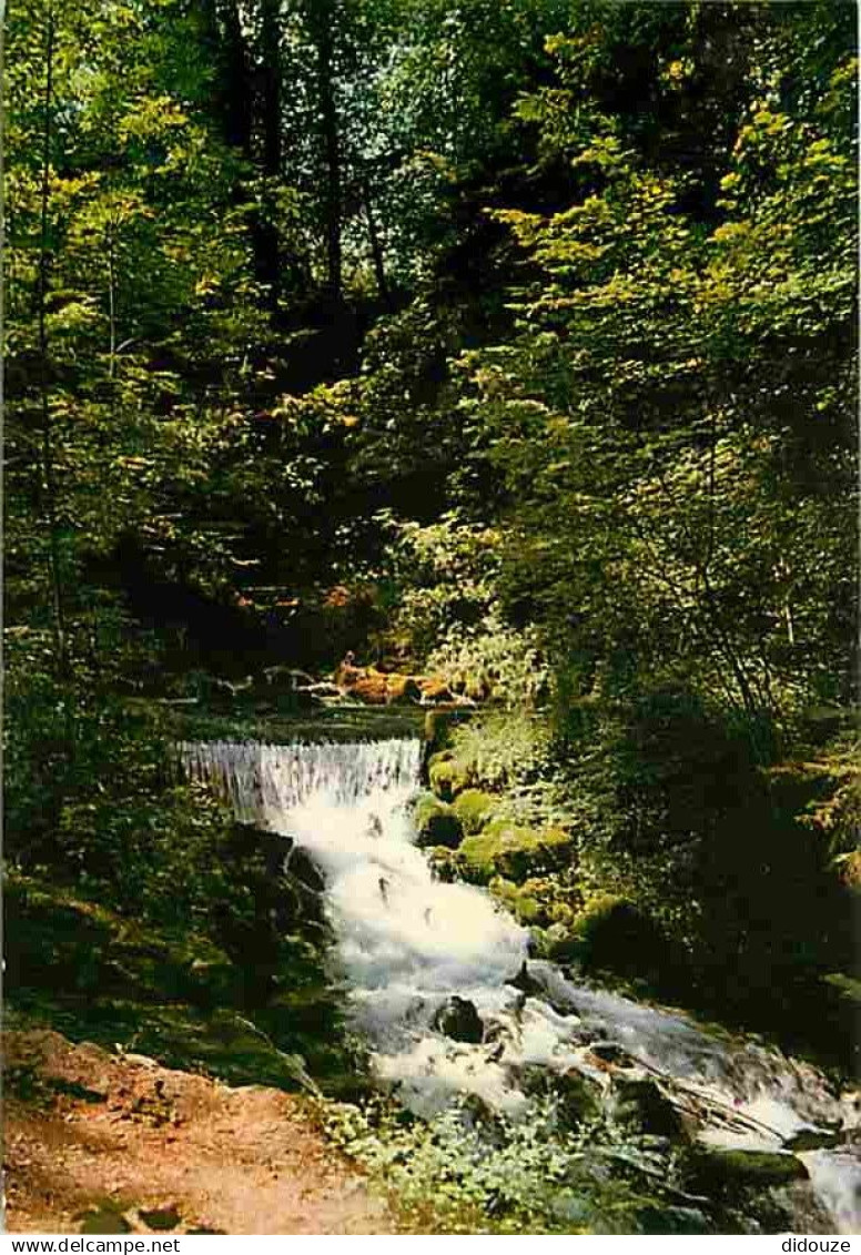 01 - Divonne les Bains - La Source de la Divonne - CPM - Voir Scans Recto-Verso