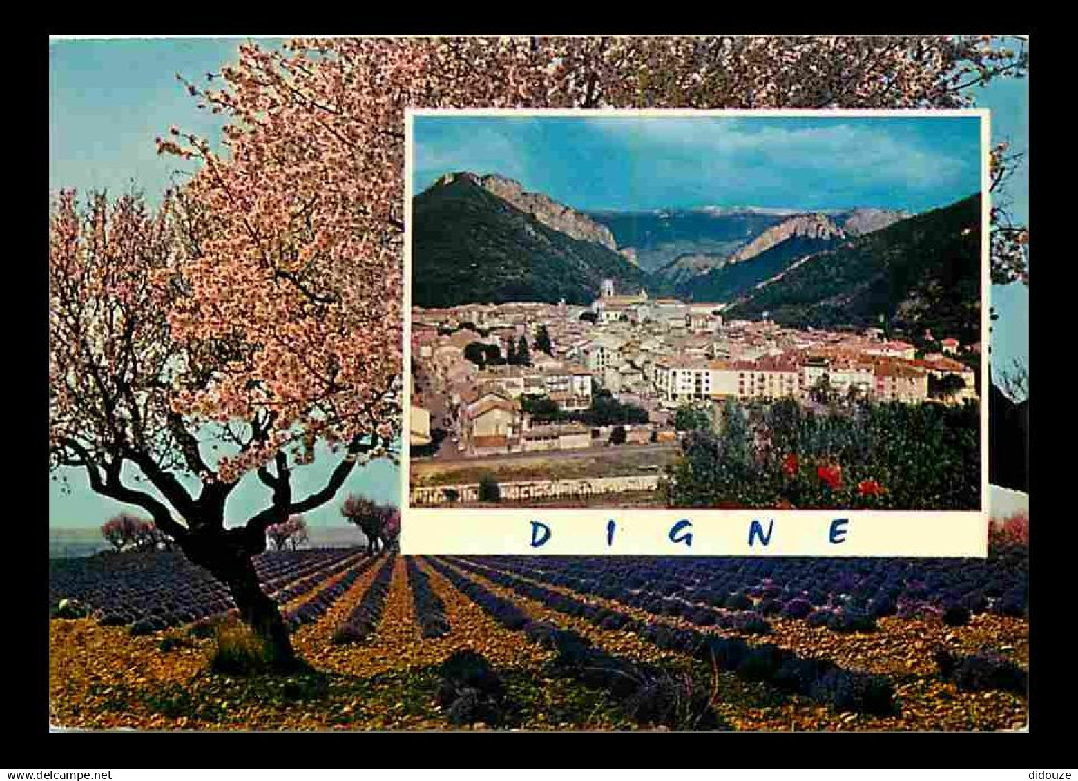 04 - Digne les Bains - Vue Générale - Flamme Postale de Digne les Bains - CPM - Voir Scans Recto-Verso