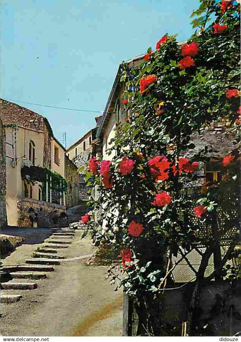 04 - Gréoux les Bains - La rue des Marquises - Fleurs - Flamme Postale de Gréoux les Bains - CPM - Voir Scans Recto-Vers