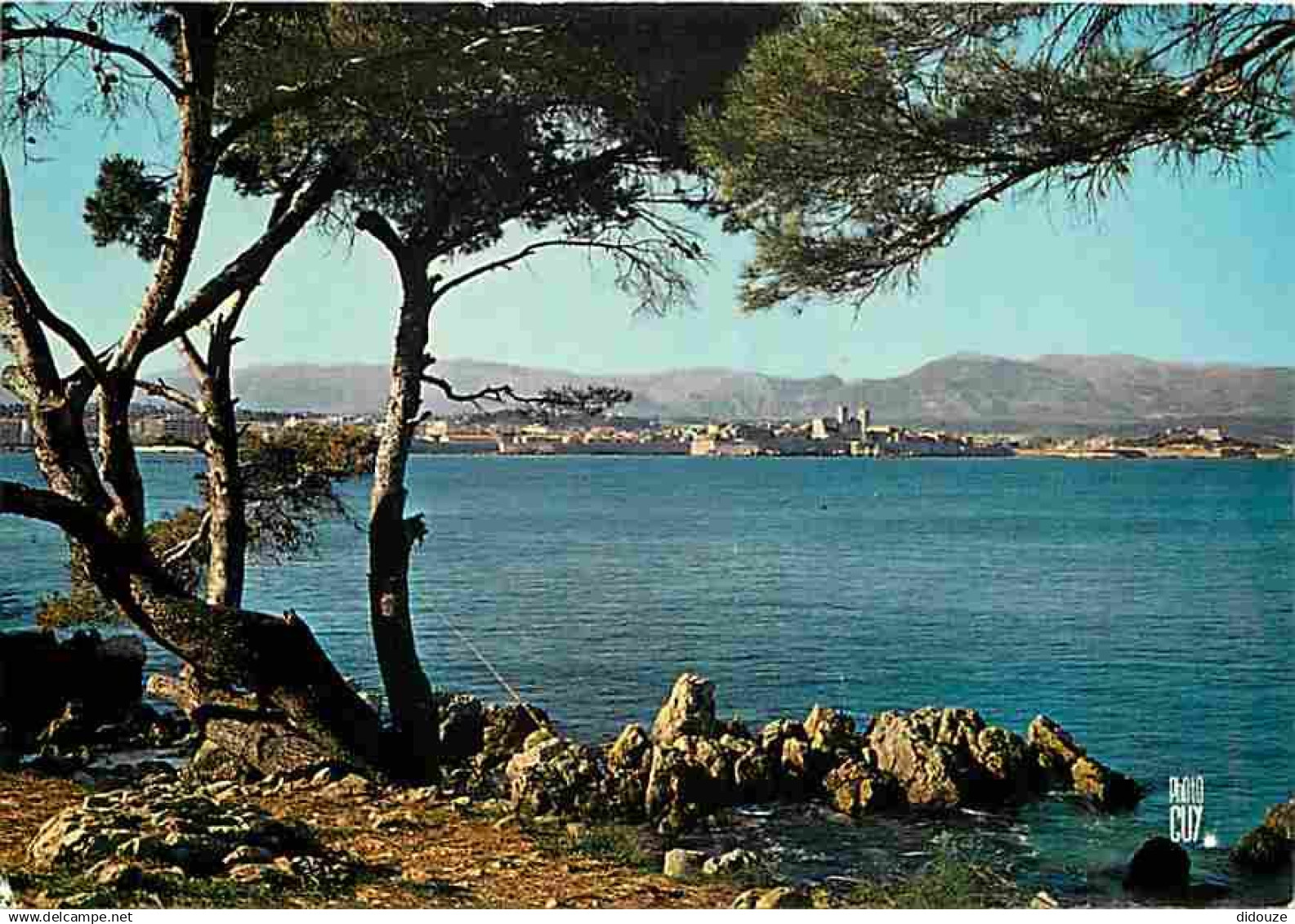 06 - Antibes - Antibes vu du Cap - CPM - Voir Scans Recto-Verso