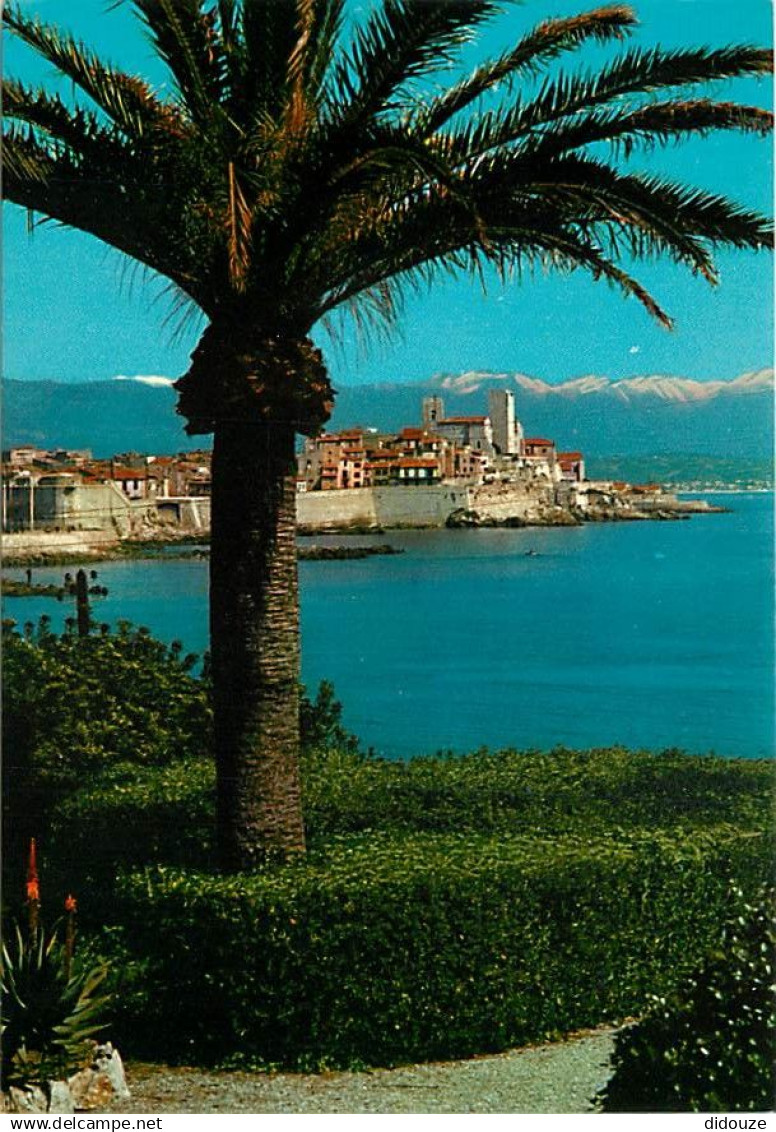 06 - Antibes - La vieille ville, au fond les Alpes neigeuses - CPM - Carte Neuve - Voir Scans Recto-Verso