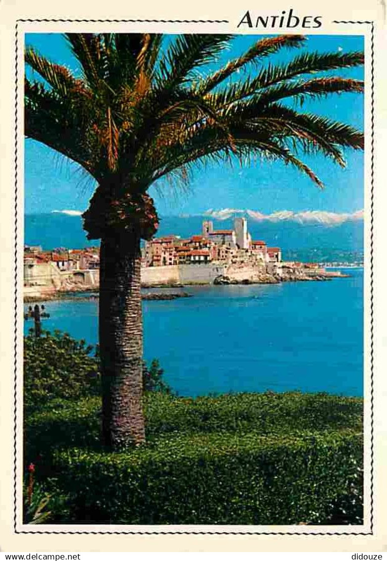 06 - Antibes - La vieille Ville - Au fond les Alpes neigeuses - CPM - Voir Scans Recto-Verso