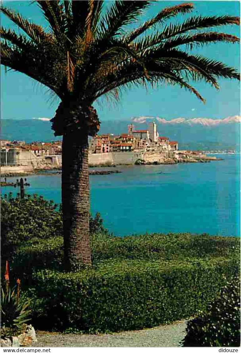 06 - Antibes - La vieille Ville - Au fond les Alpes neigeuses - CPM - Voir Scans Recto-Verso