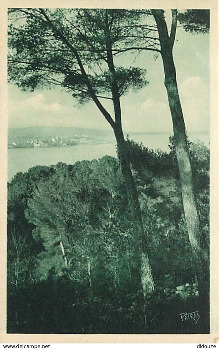 06 - Antibes - Les Remparts - Les vieux remparts vus du cap - CPA - Carte Neuve - Voir Scans Recto-Verso