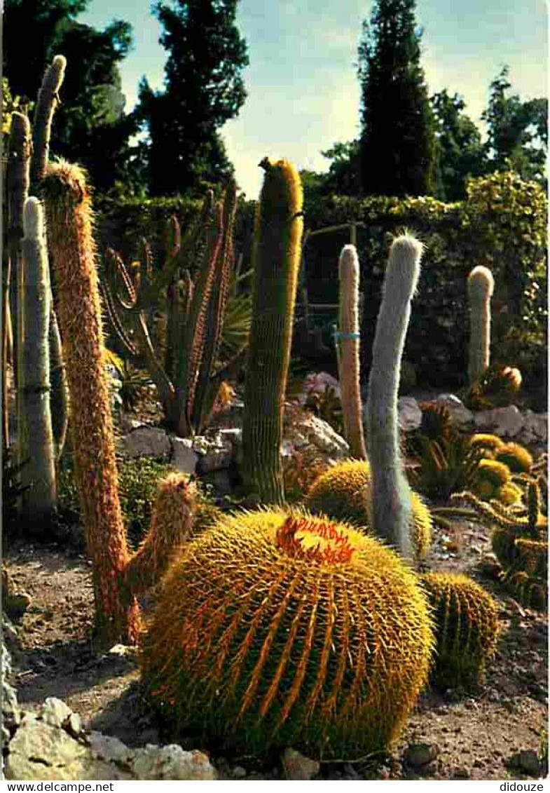 06 - Eze - Le Jardin exotique - CPM - Voir Scans Recto-Verso