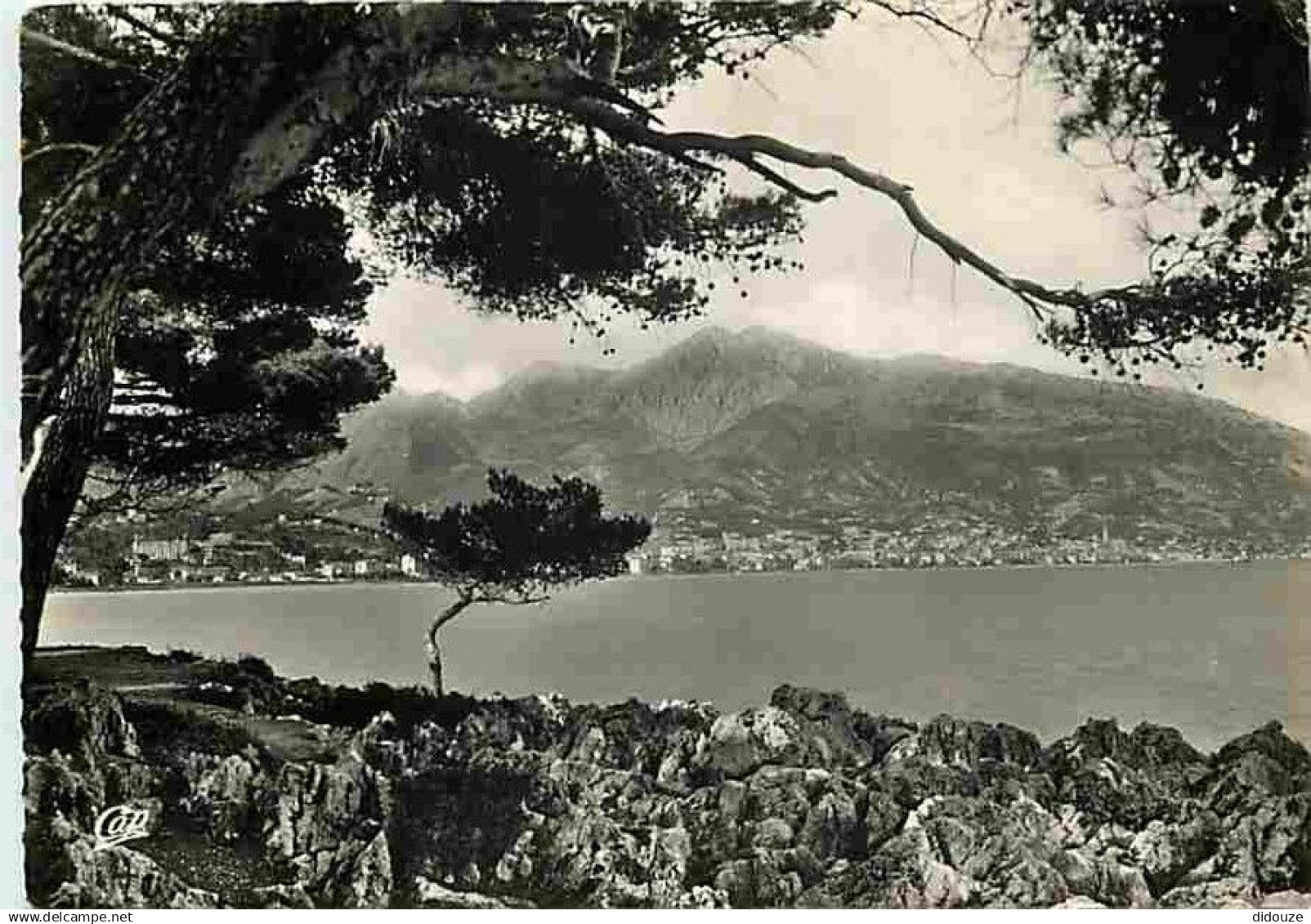 06 - Roquebrune - Cap Martin - Panorama sur Menton - CPM - Voir Scans Recto-Verso