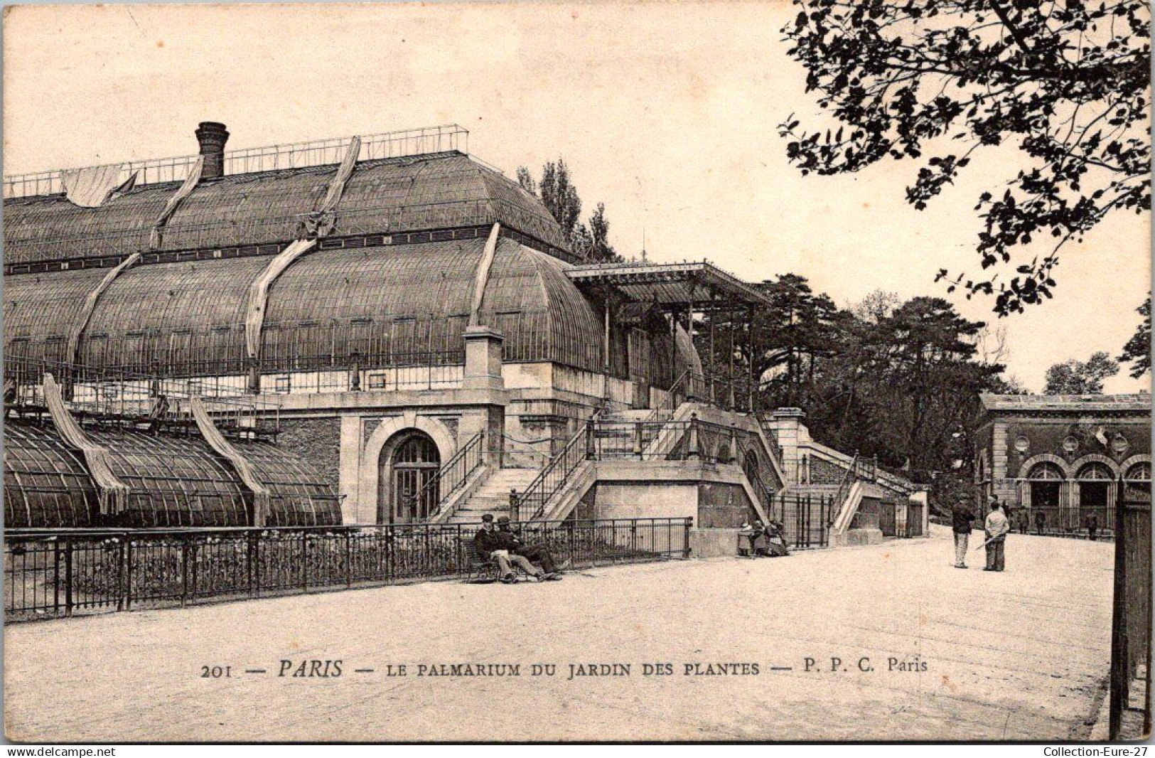 (07/01/25) 75-CPA PARIS - 5ème ARRONDISSEMENT - LE JARDIN DES PLANTES