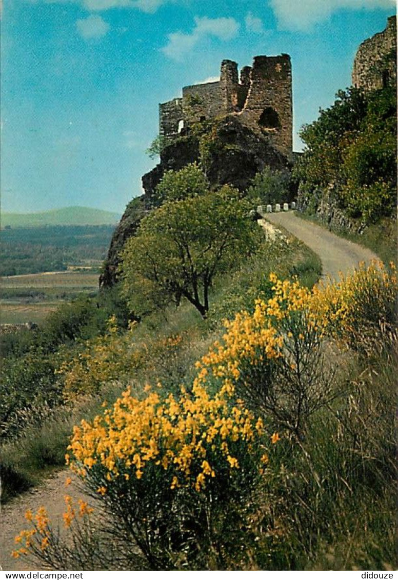 07 - Rochemaure - Ruines de l'ancien Château Féodal dominant la Vallée du Rhône - Vieilles pierres - CPM - Voir Scans Re