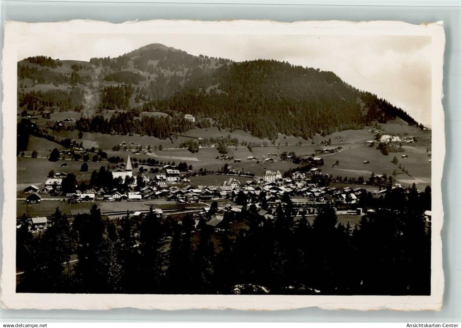 10194432 - Saanen