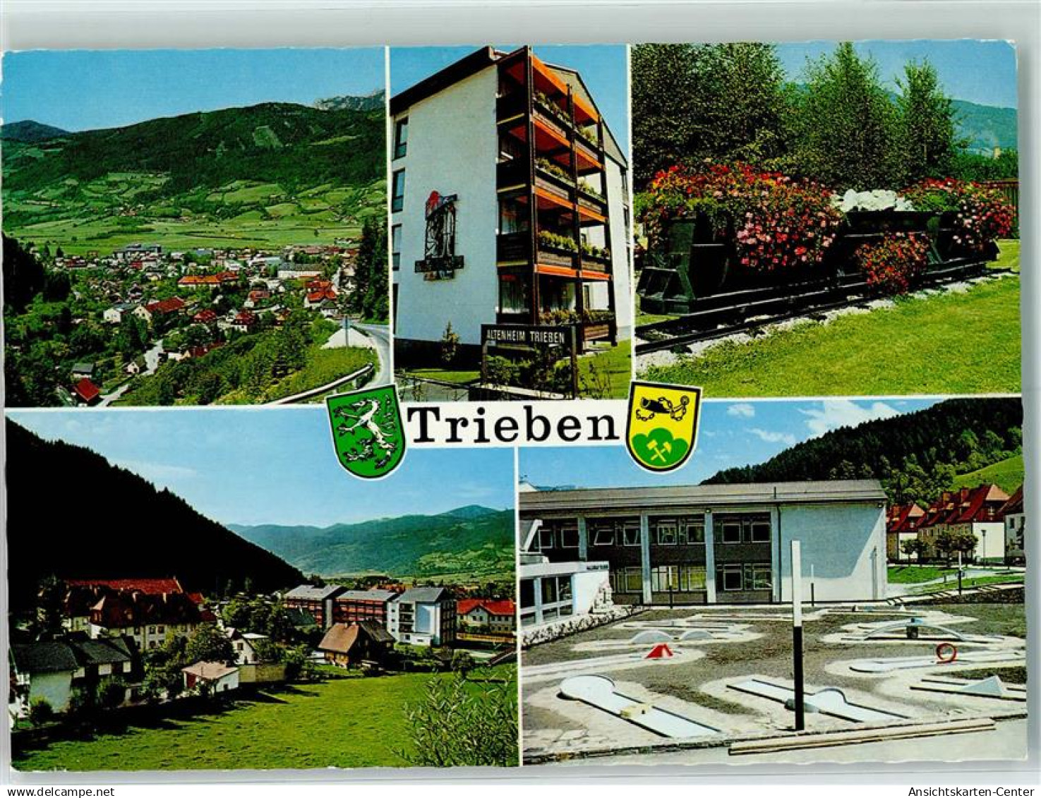 10276763 - Trieben