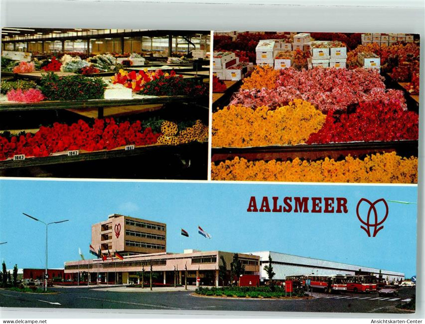 10283921 - Aalsmeer