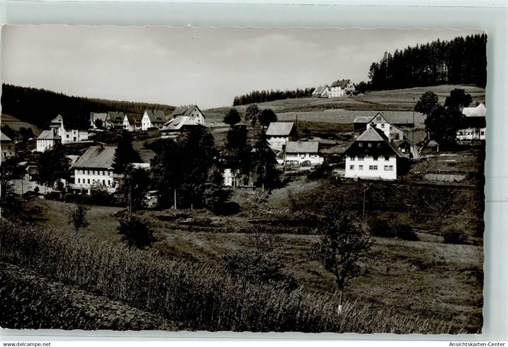 10347695 - Eisenbach Hochschwarzwald