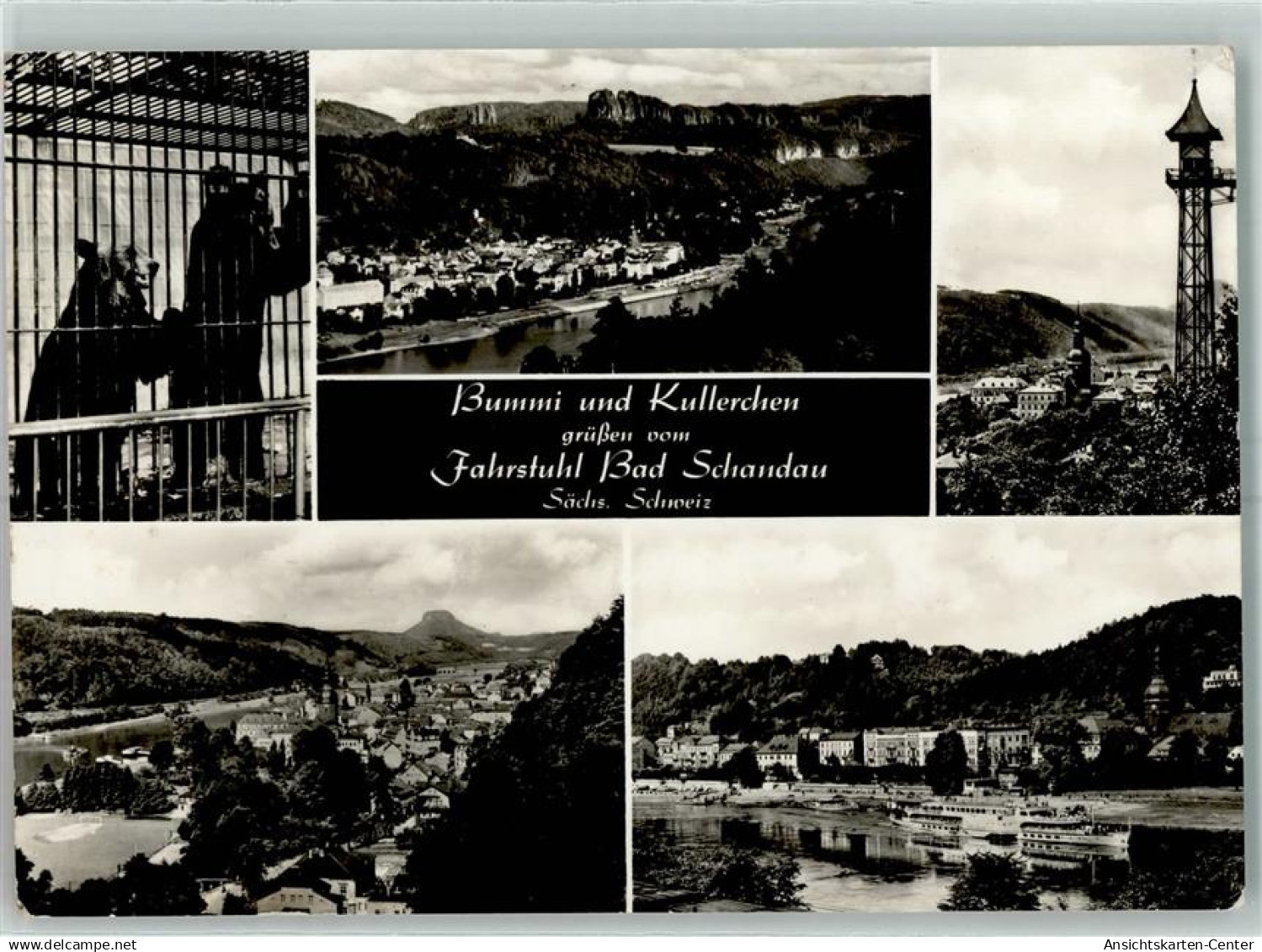 10481738 - Bad Schandau