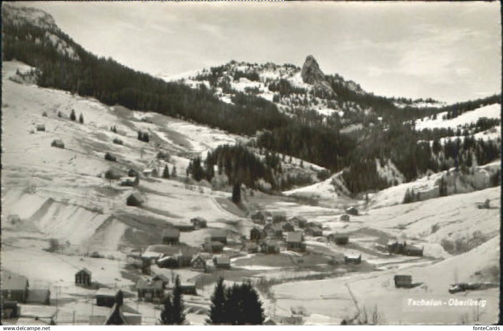 10550639 Tschalun-Oberiberg Tschalun-Oberiberg