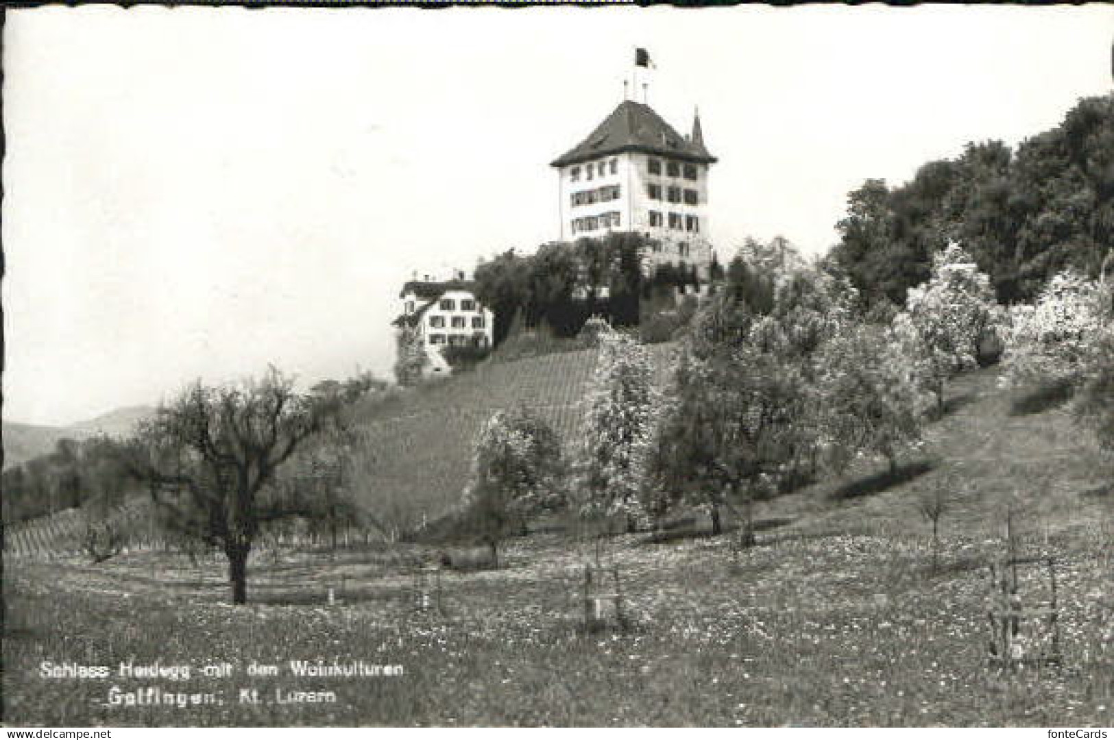 10555255 Schloss Heidegg Schloss Heidegg bei Gelfingen x 1962