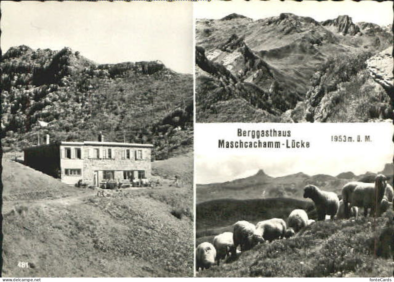 10555647 Flumserberg Bergheim Maschcachamm-Luecke Gasthaus Bergheim