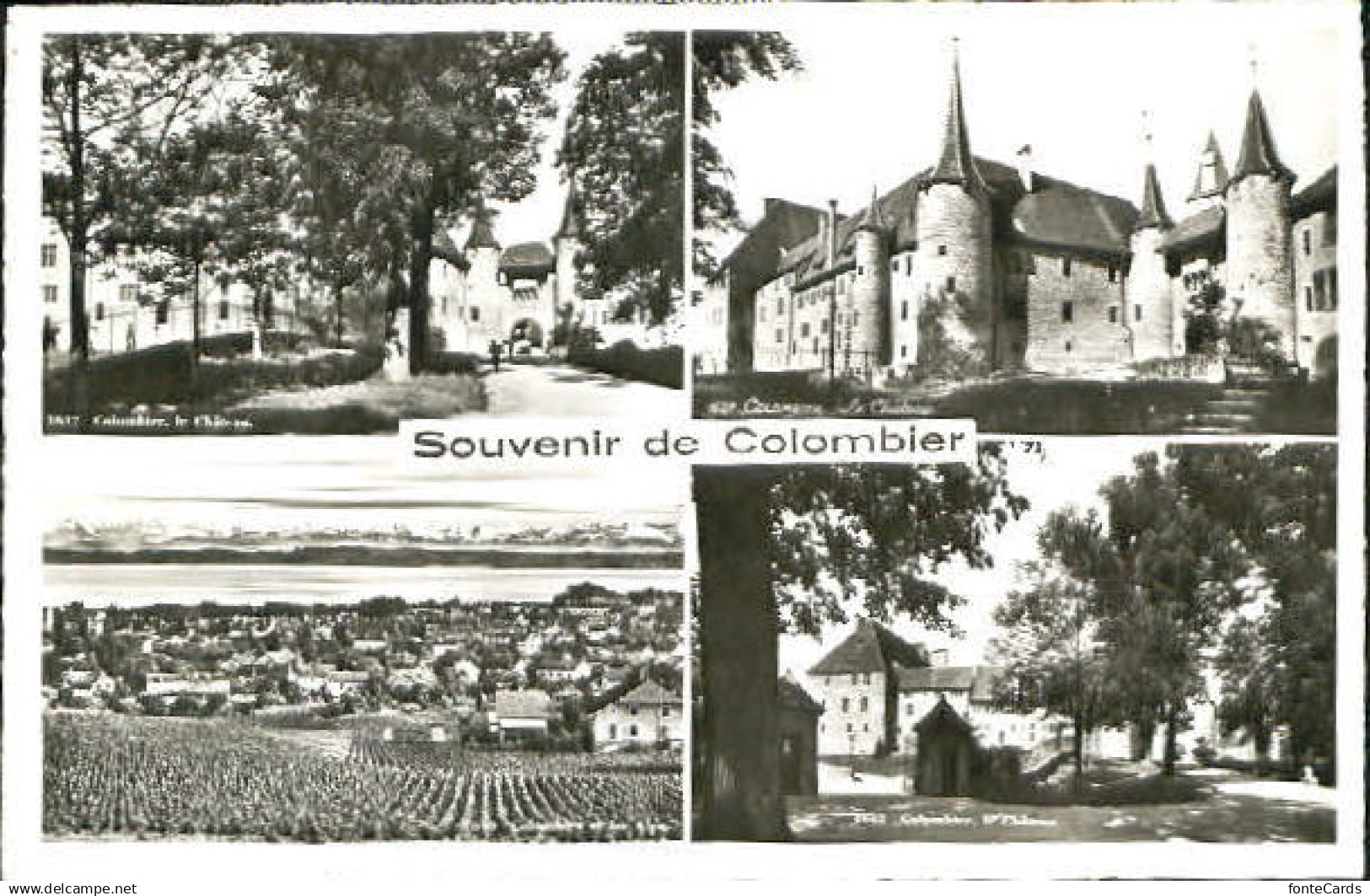 10557131 Colombier NE Colombier  x 1955