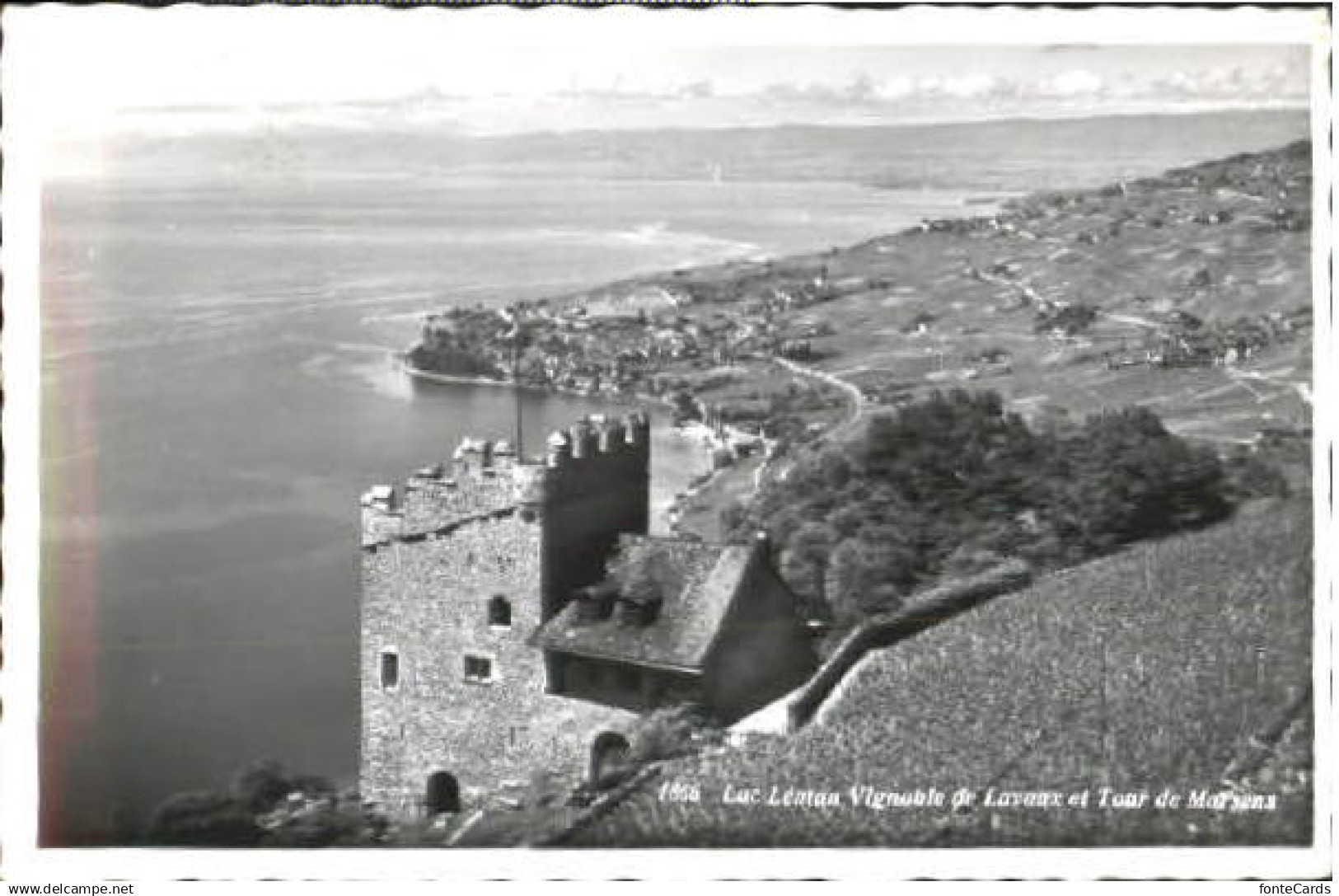 10559522 Lac Leman Genfersee Lac Leman  x 1955 Genf