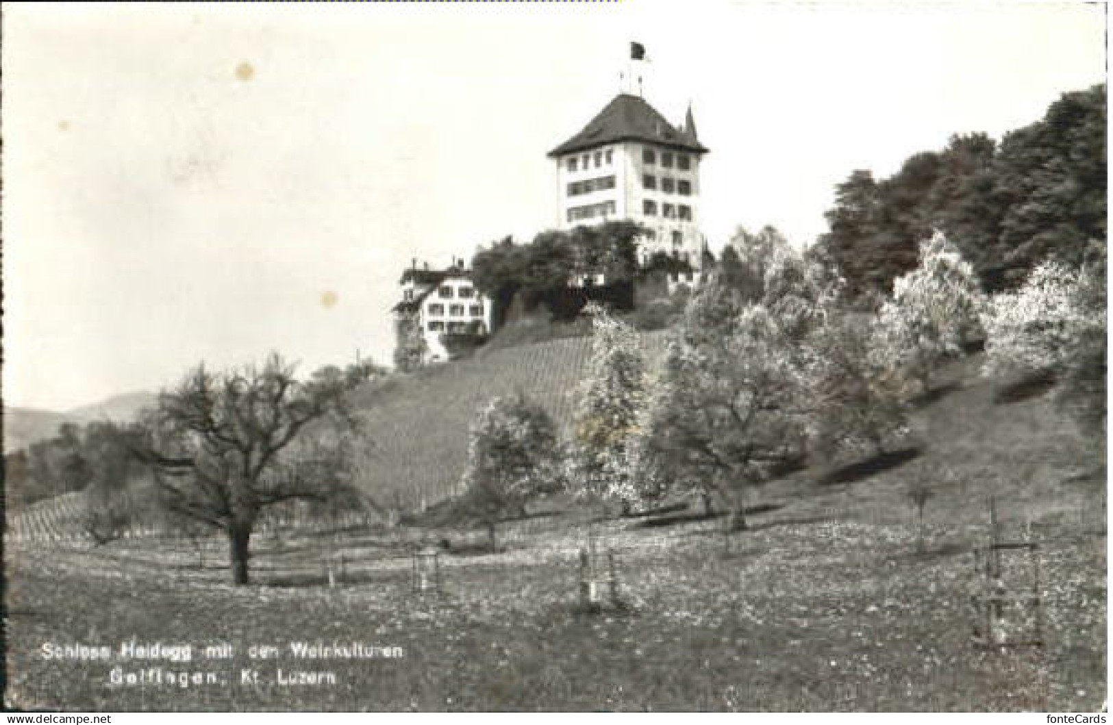 10562269 Gelfingen Gelfingen Schloss Heidegg x 1961