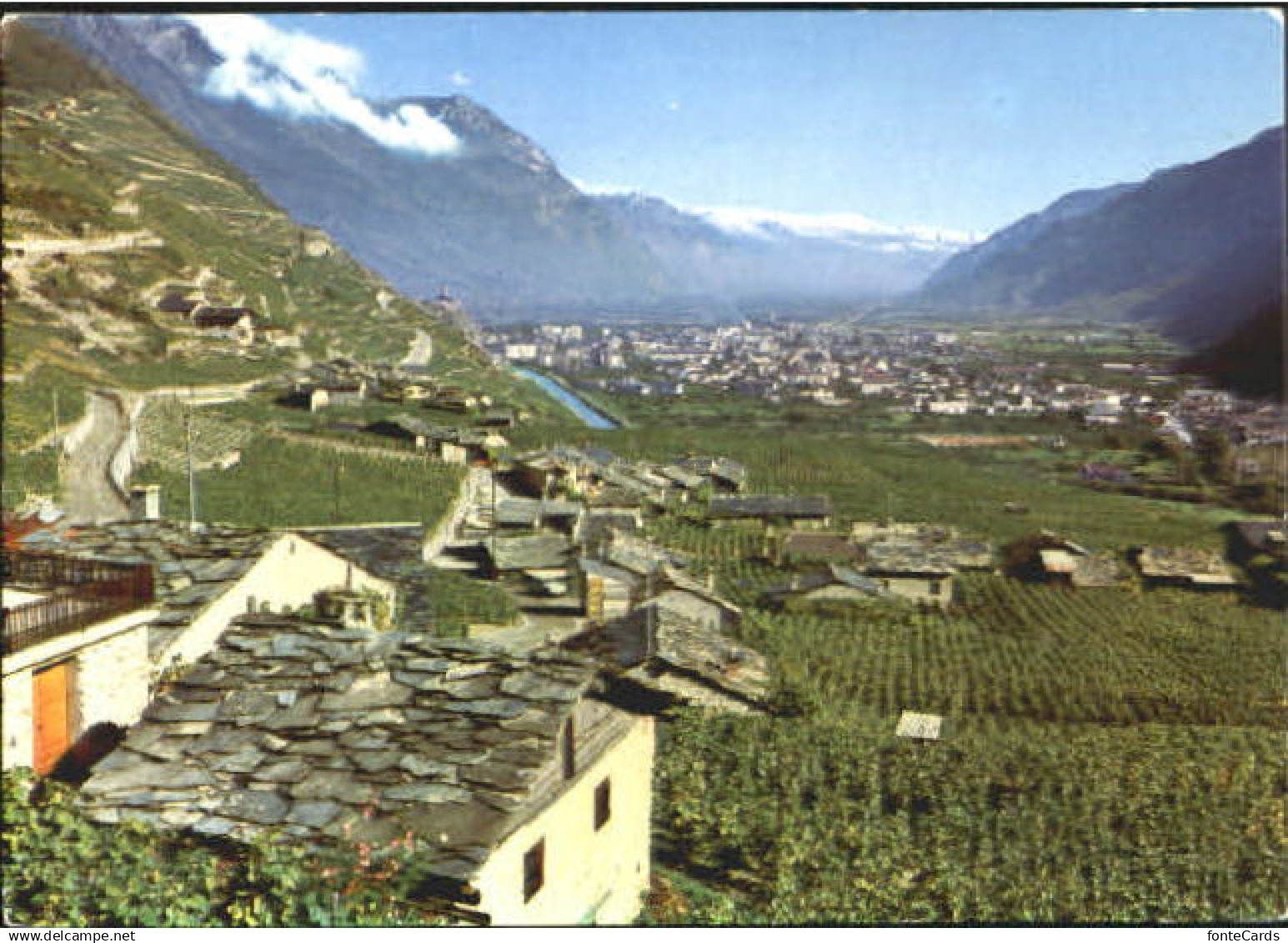 10564886 Martigny VS Martigny