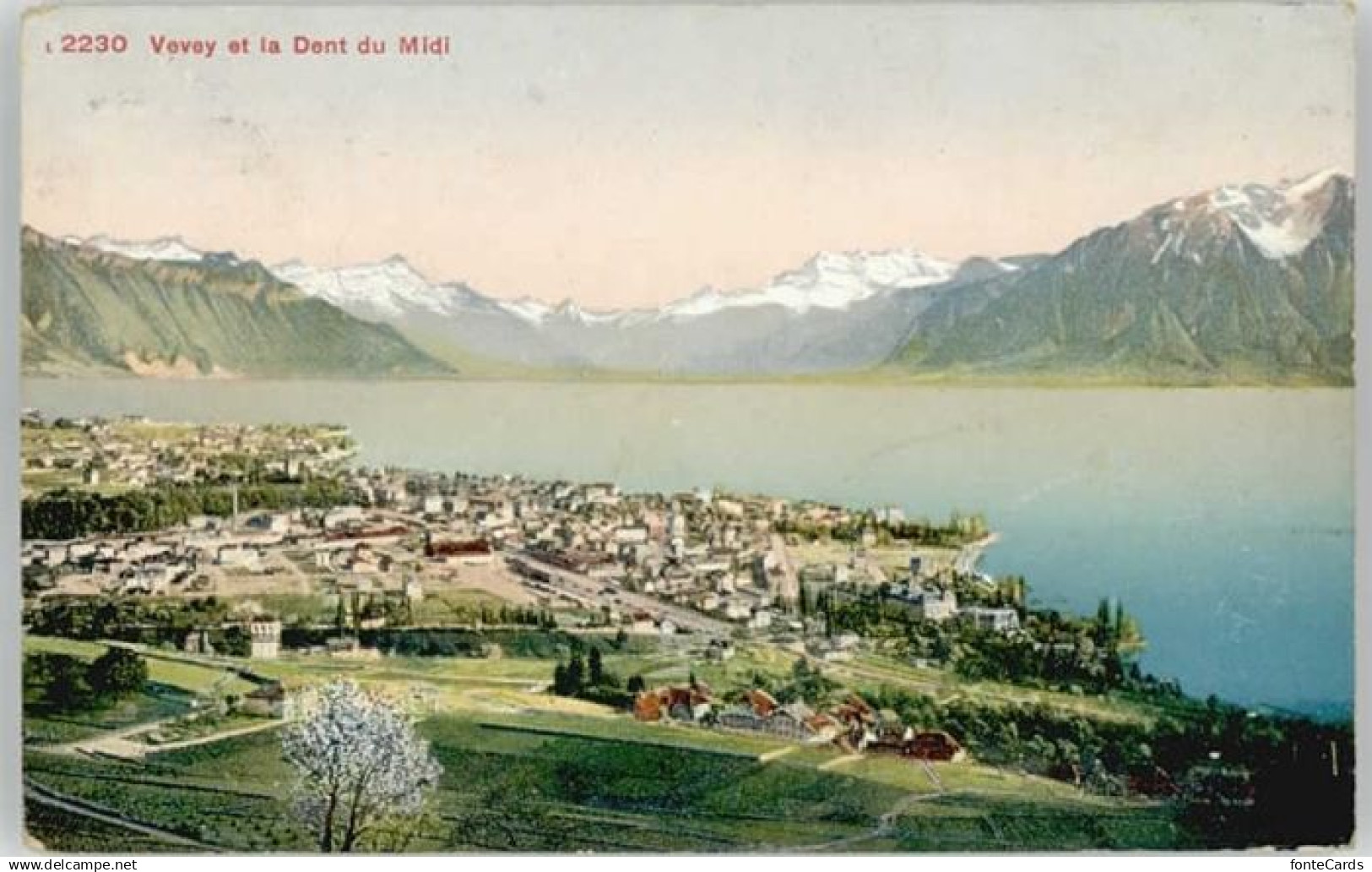 10571564 Vevey VD Vevey  x Vevey