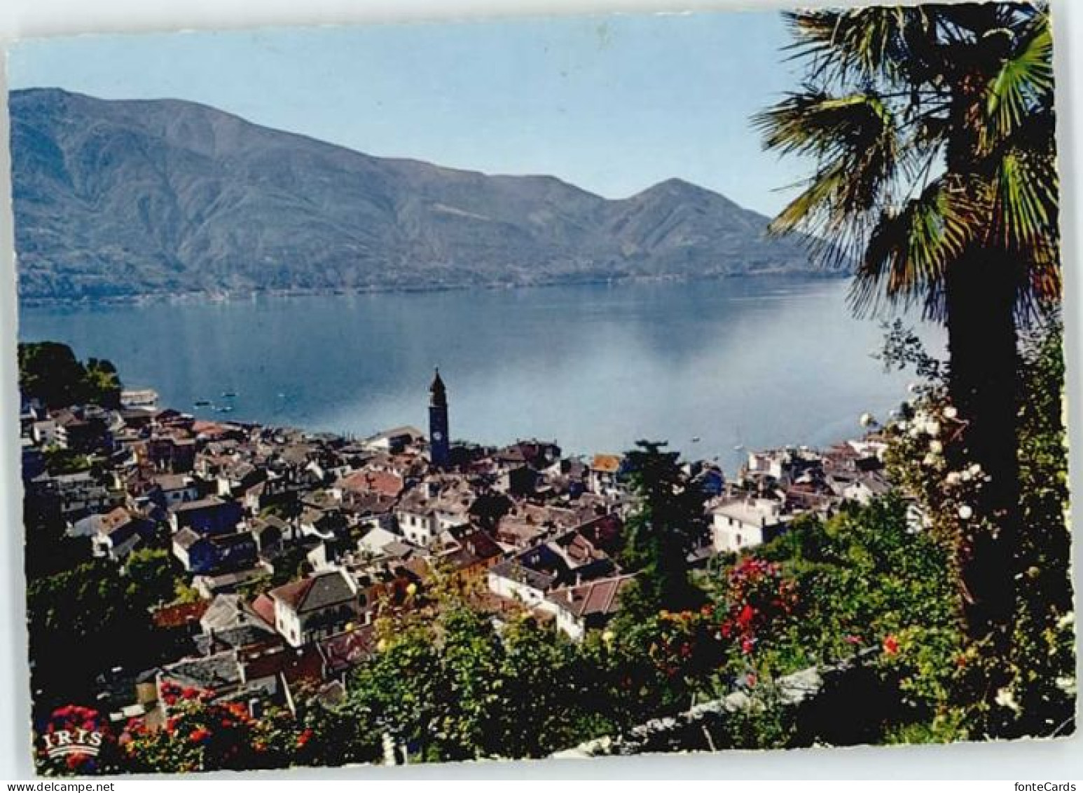 10572480 Ascona TI Ascona  x Ascona