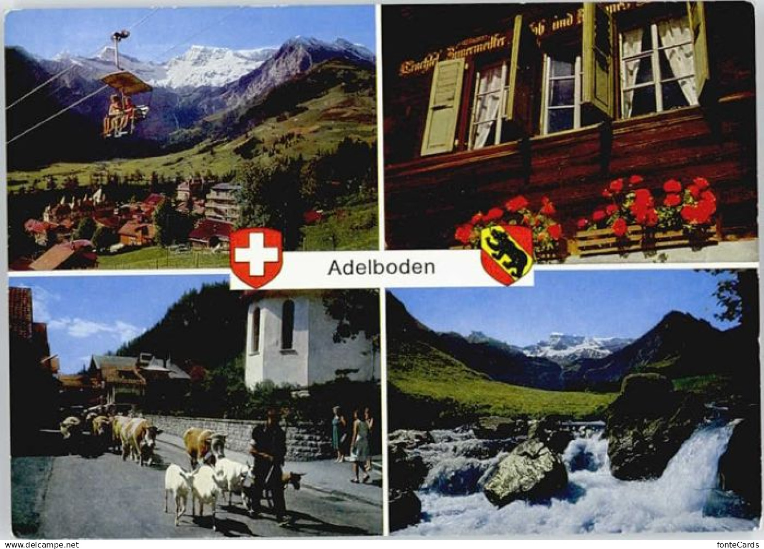 10572922 Adelboden Adelboden  x Adelboden