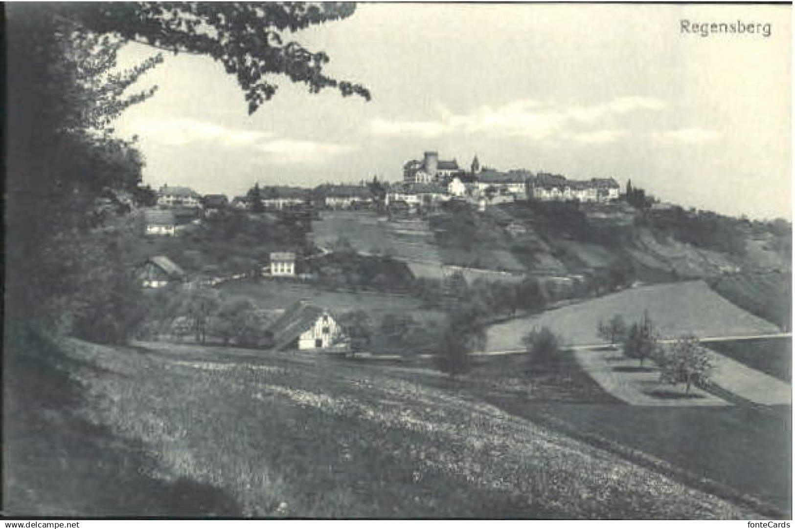 10575387 Regensberg Dielsdorf ZH Regensberg Feldpost ungelaufen ca. 1910