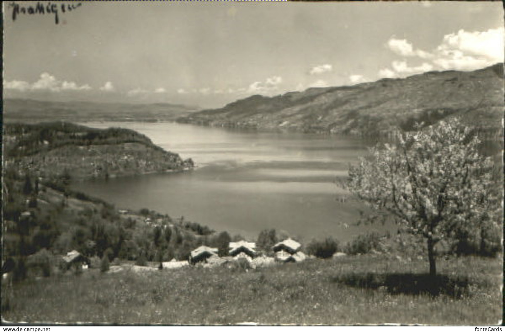 10581456 Krattigen Krattigen Thunersee x 1946