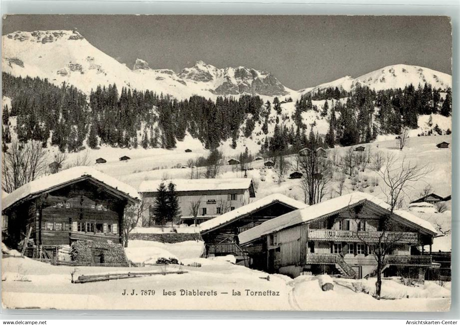 10645313 - Les Diablerets Ormont-Dessus