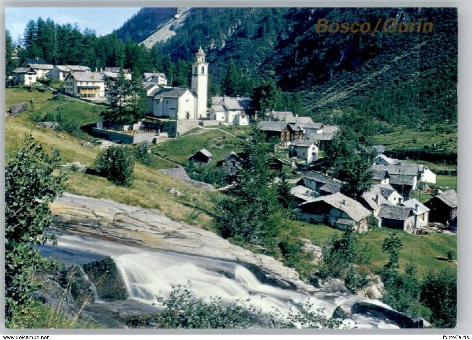 10697263 Bosco Bosco Gurin *