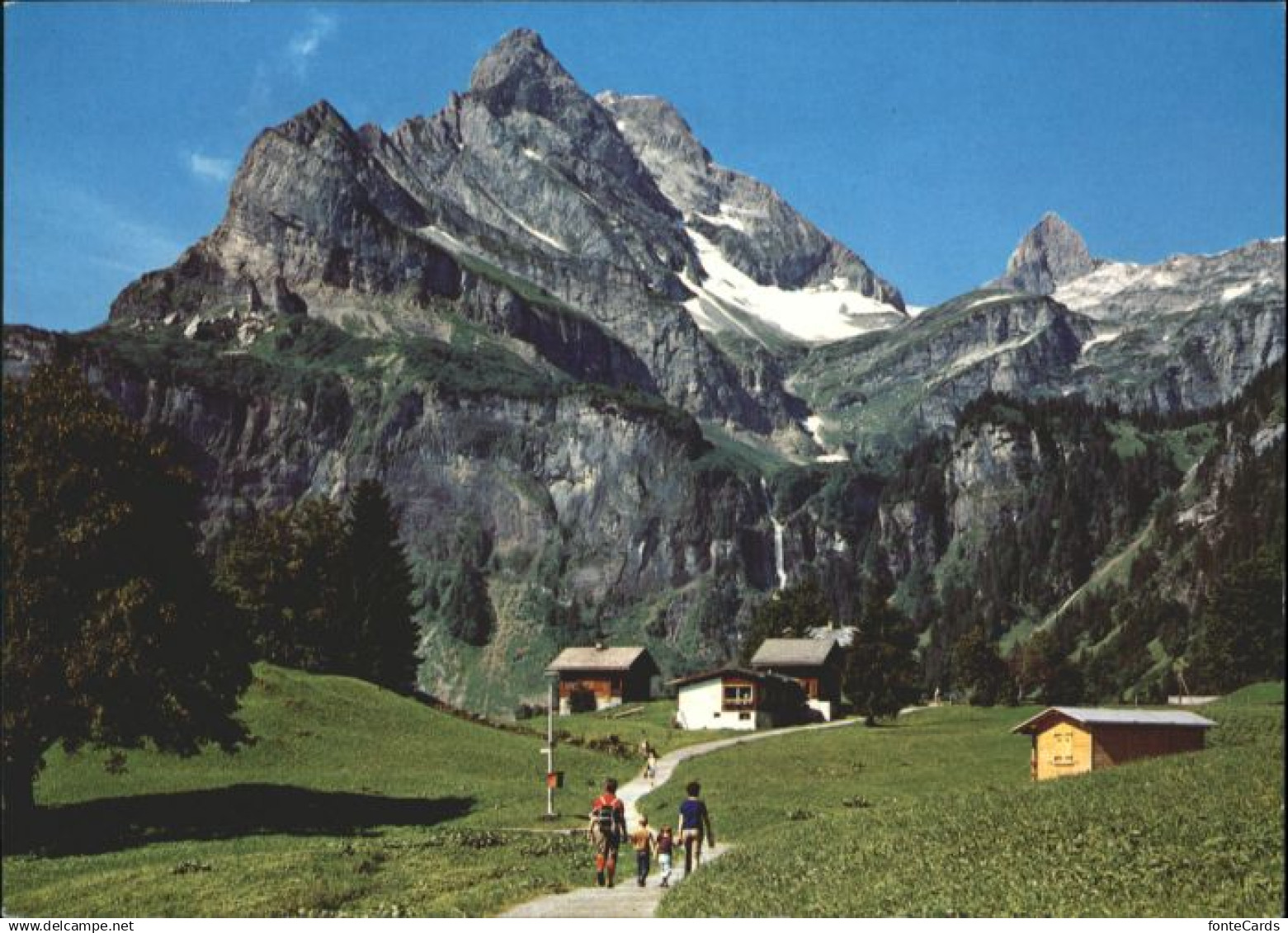 10792795 Braunwald GL Braunwald  *