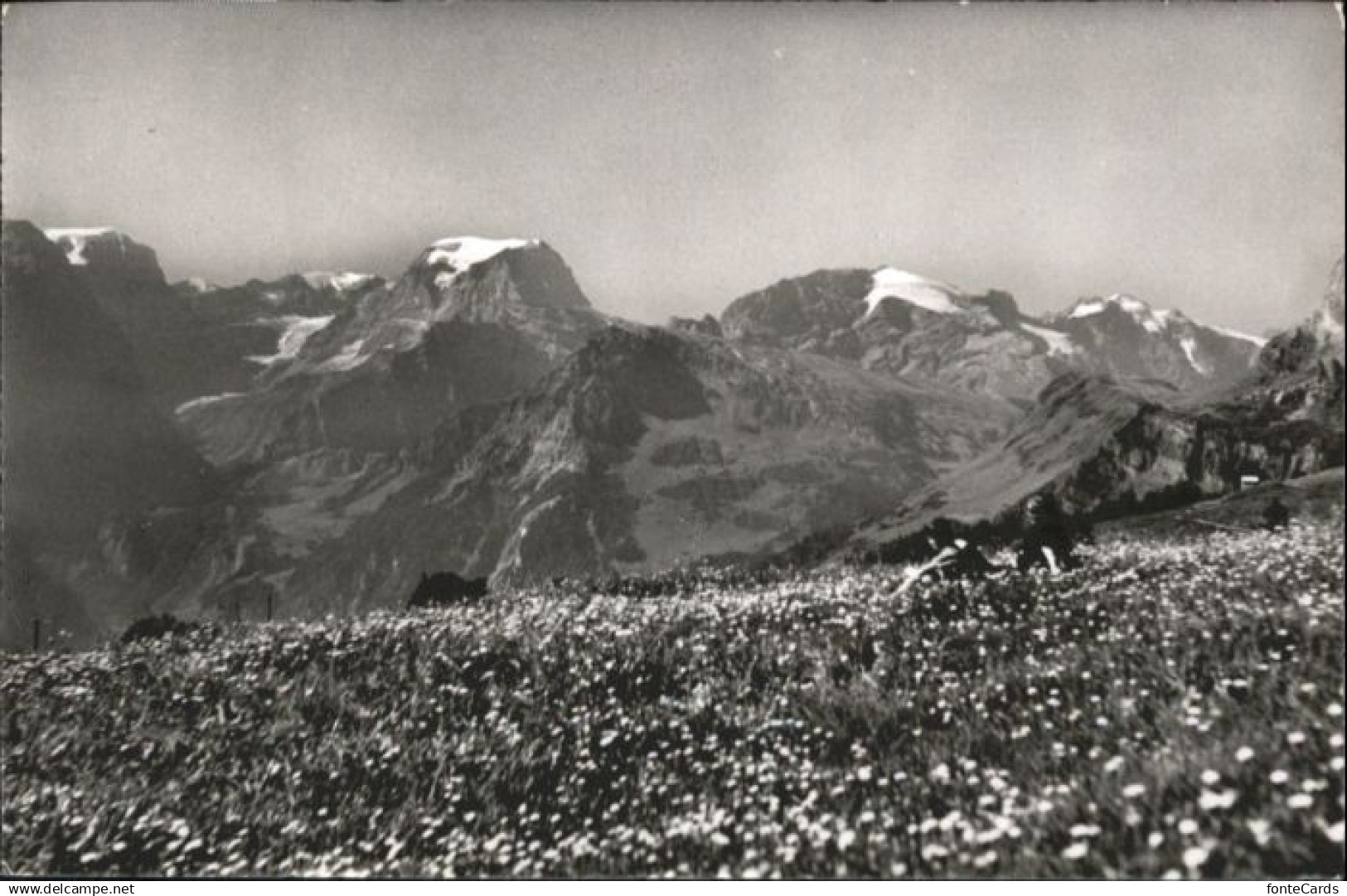 10792800 Braunwald GL Braunwald Claridenstock *