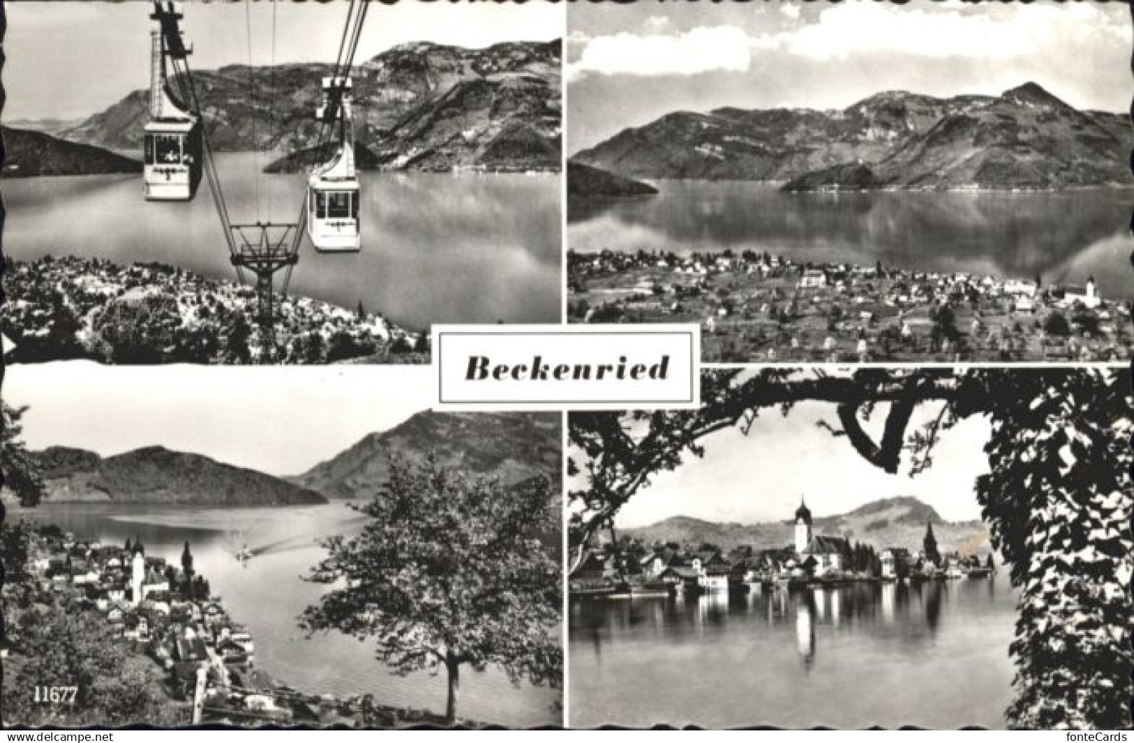 10793351 Beckenried Beckenried  x Beckenried