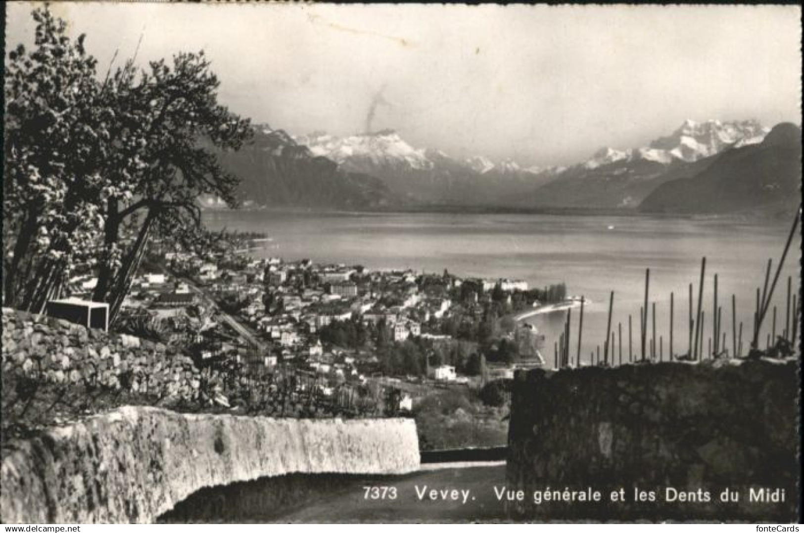 10794499 Vevey VD Vevey  x Vevey