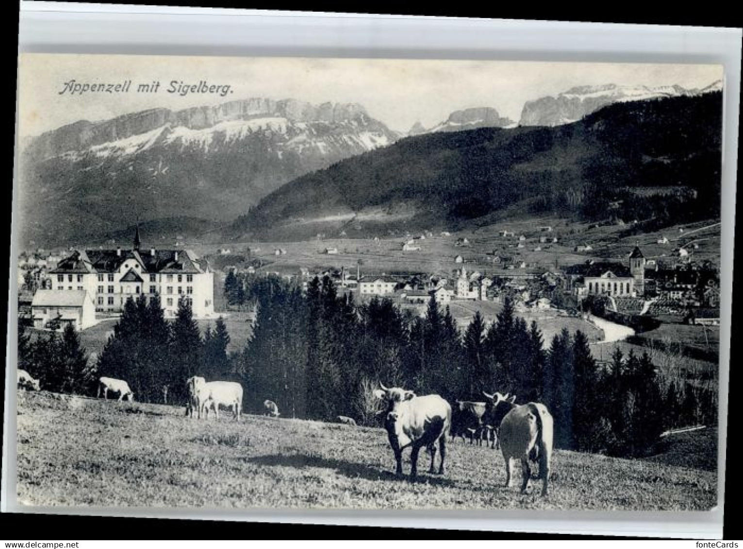 10805008 Appenzell IR Appenzell Sigelberg *