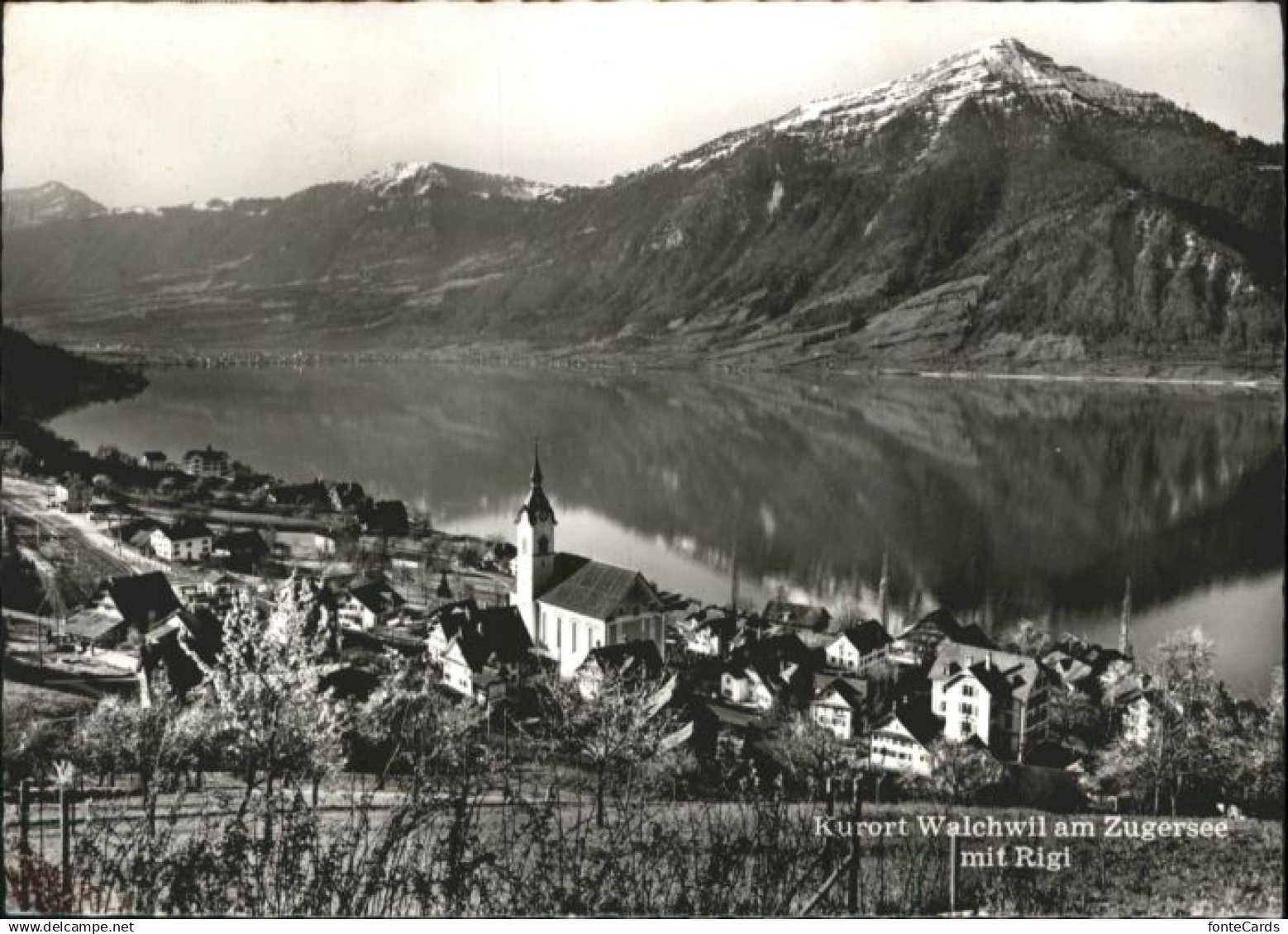 10875390 Walchwil Walchwil Zugersee Rigi x