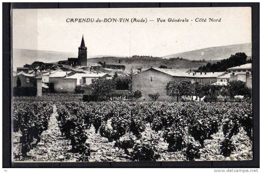 11 - Capendu-du-Bon-Vin (Aude) - Vue Générale - Coté Nord - Vignes