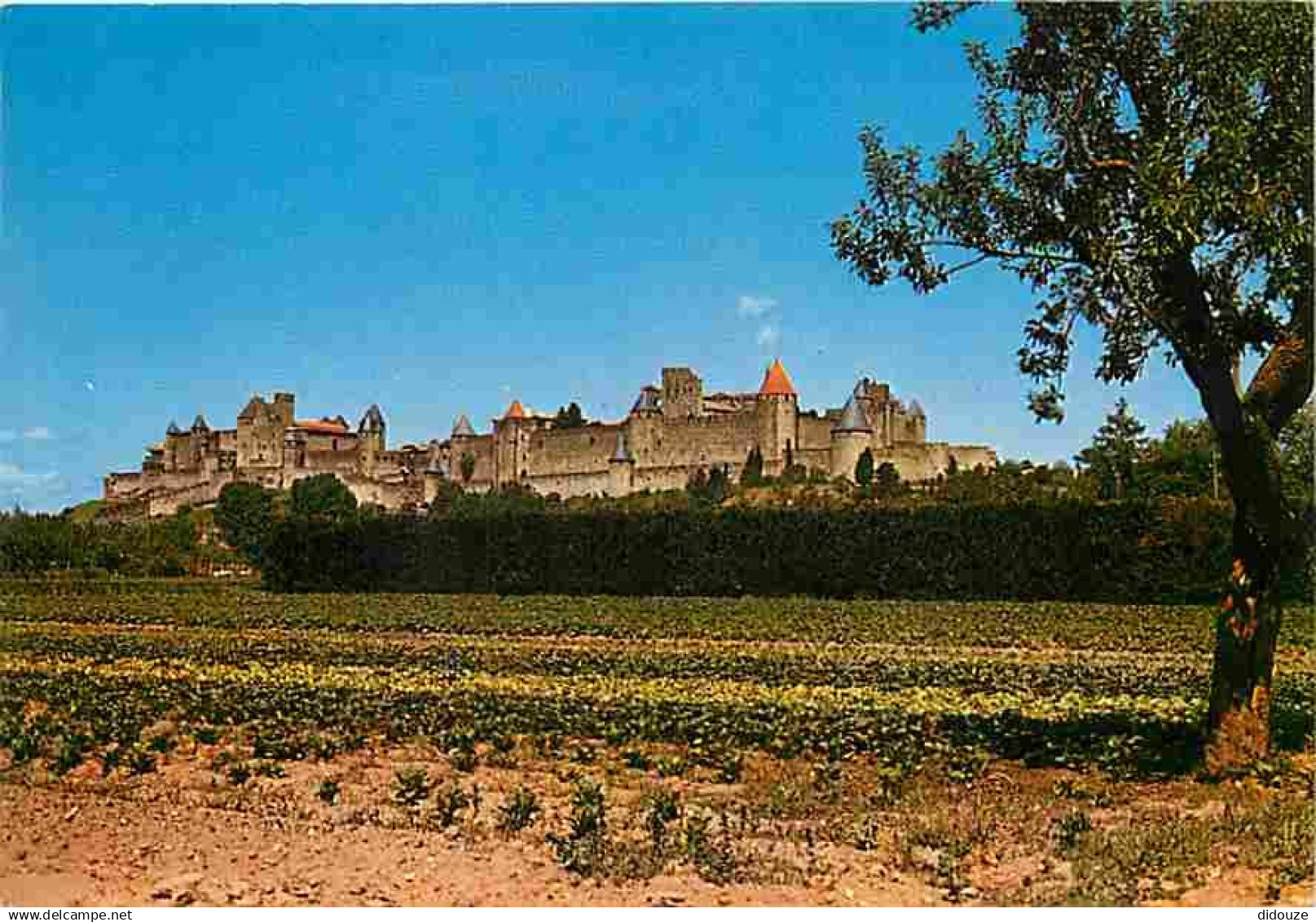 11 - Carcassonne - La Cité médiévale - Vue Générale - Flamme Postale de Carcassonne - CPM - Voir Scans Recto-Verso