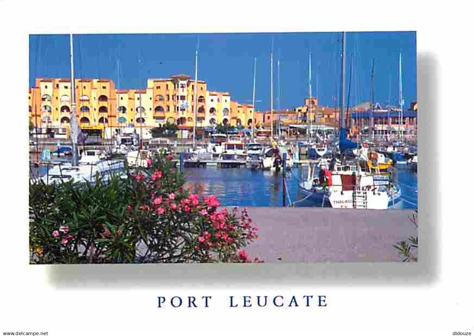 11 - Leucate - Port Leucate - Le Port de plaisance - Flamme Postale de Leucate - CPM - Voir Scans Recto-Verso