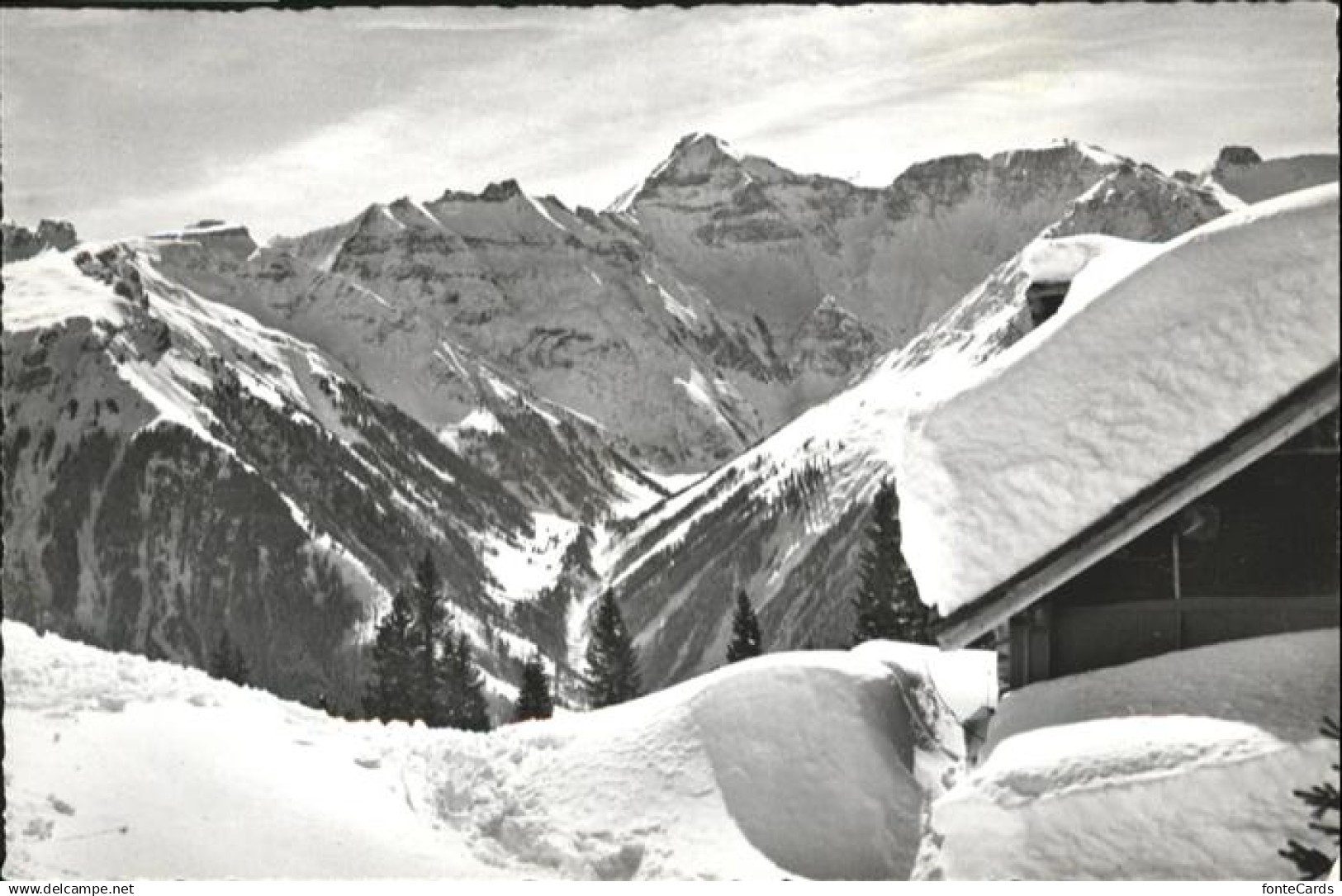 11017931 Braunwald GL  Braunwald