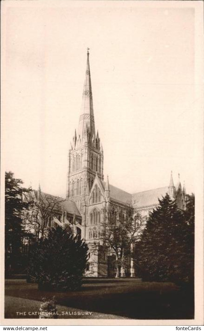 11193634 Salisbury Wiltshire Cathedral