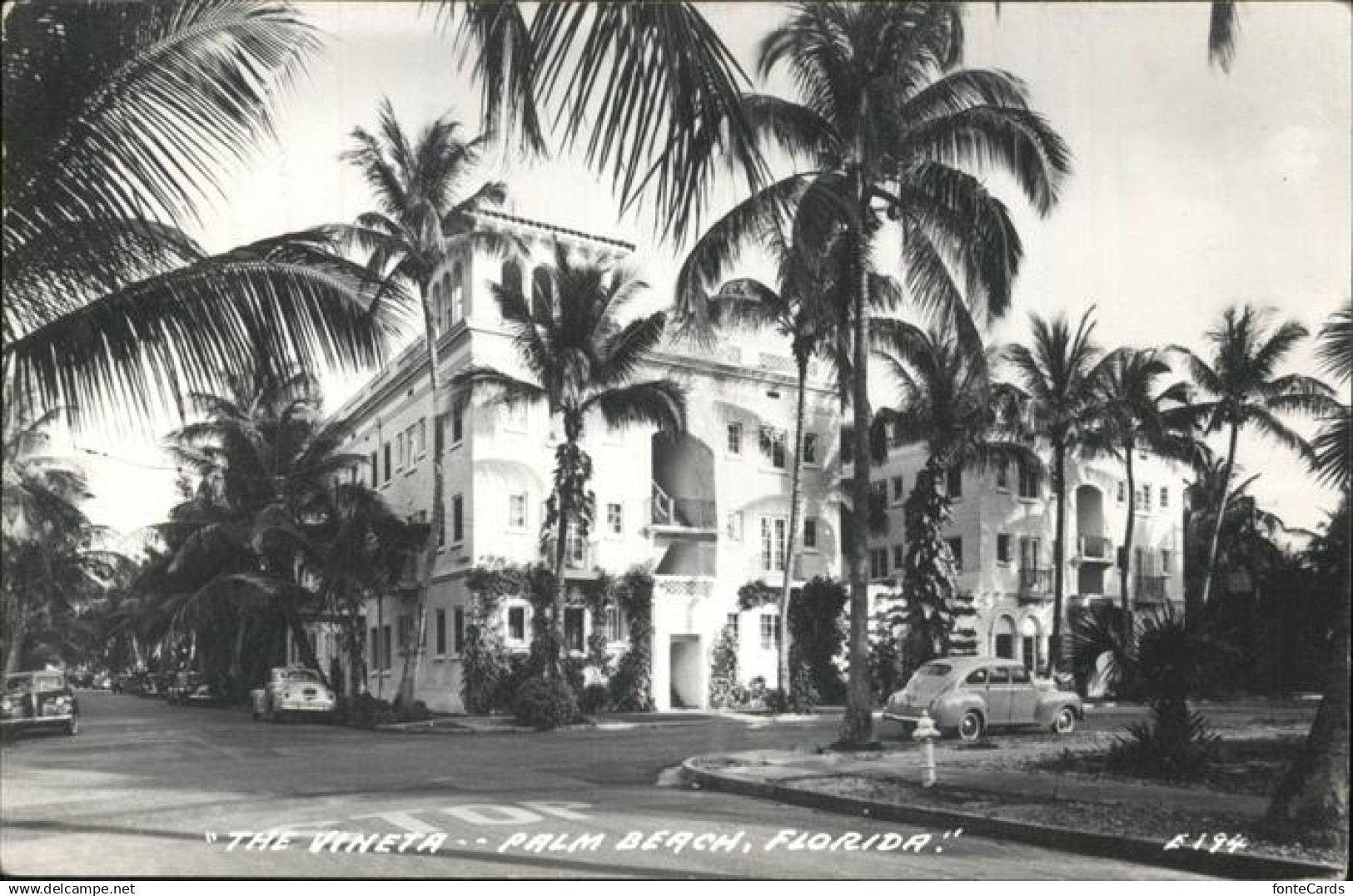 11325898 Palm Beach Veneta