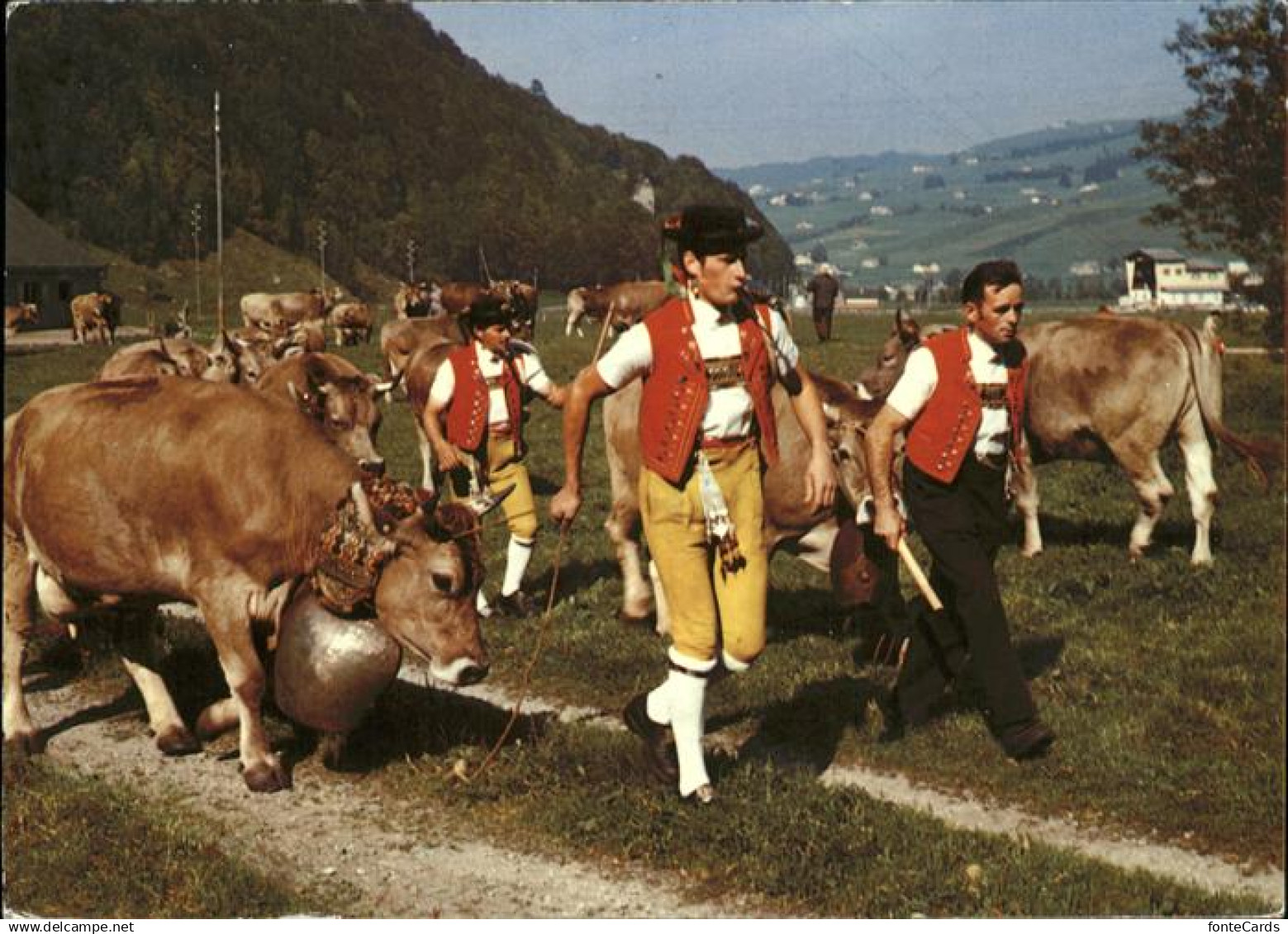 11381377 Appenzell IR Aufbruch zum Alpabtrieb im Kanton Appenzell Appenzell