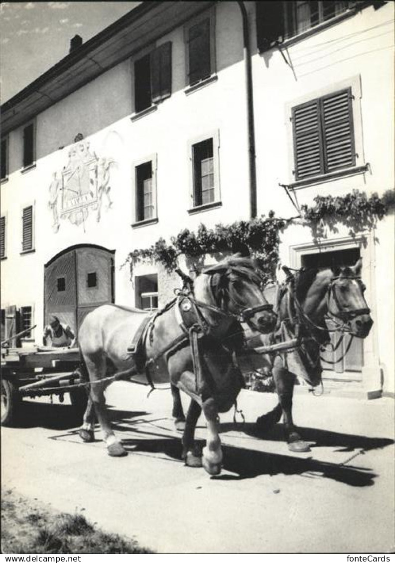 11385997 Neunkirch Bauernhof Pferdewagen