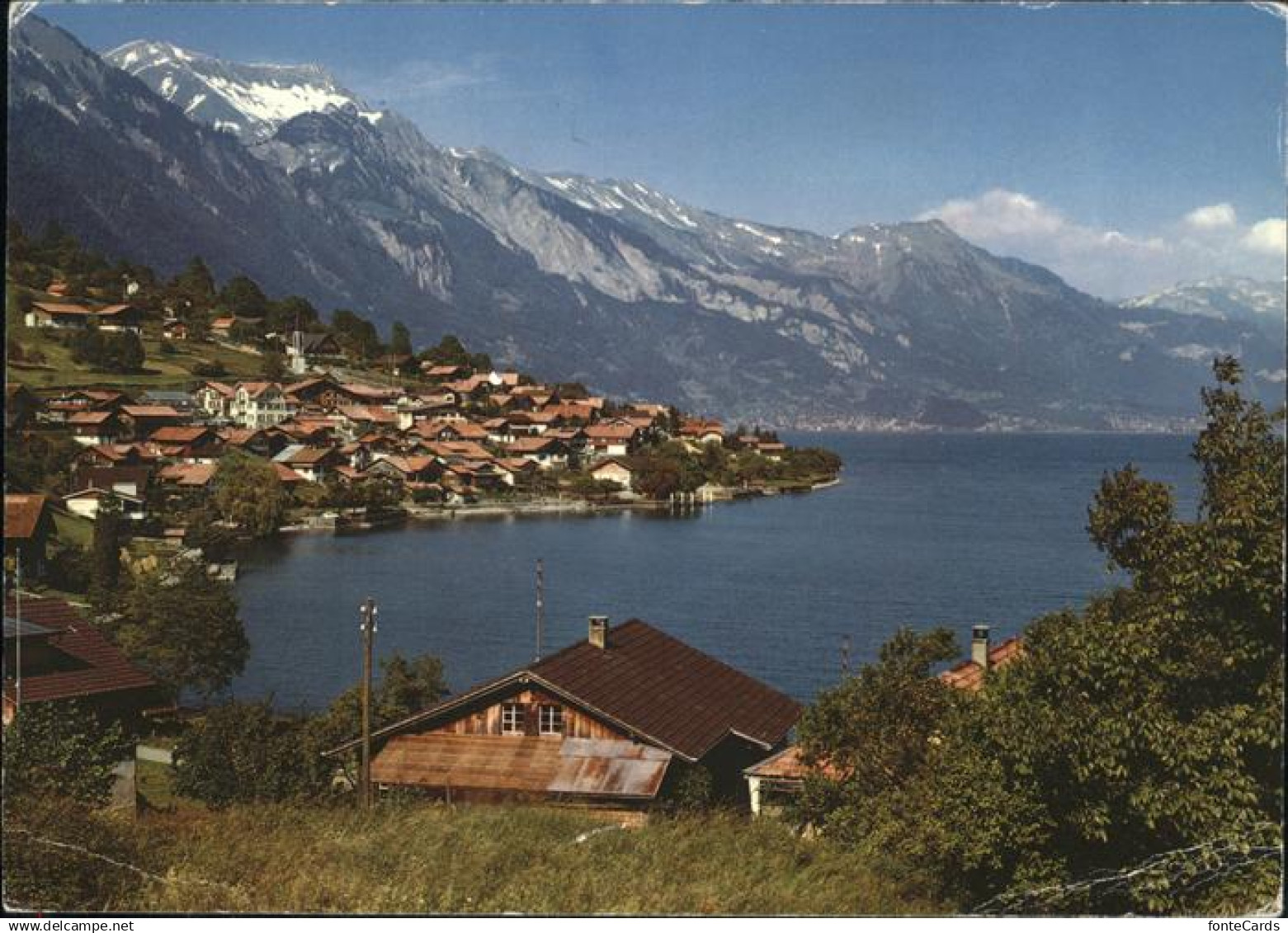 11429094 Oberried Brienzersee Panorama