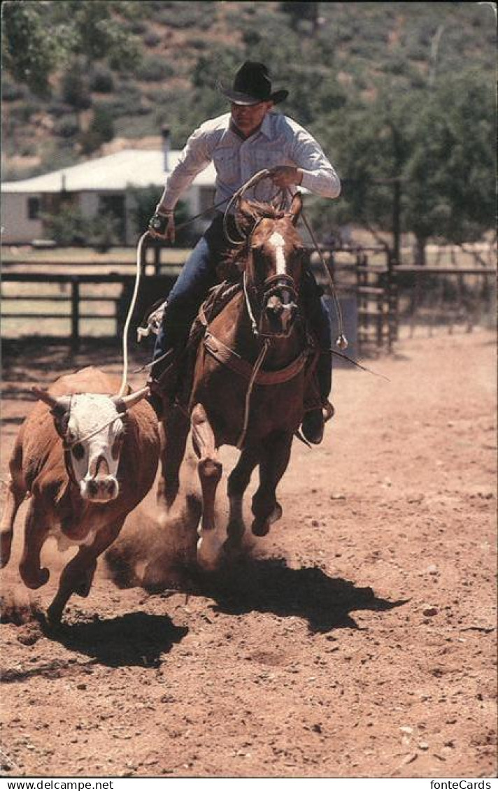 11491355 Phoenix Arizona Cowboy Phoenix Arizona