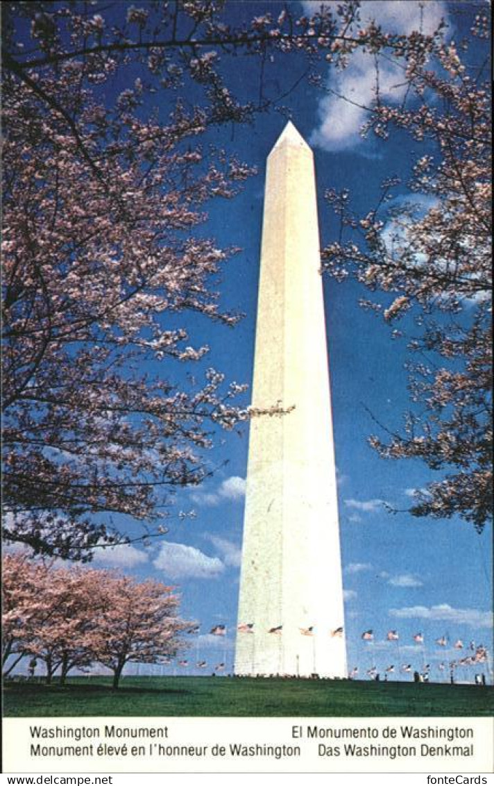 11491407 Washington DC Washington Monument