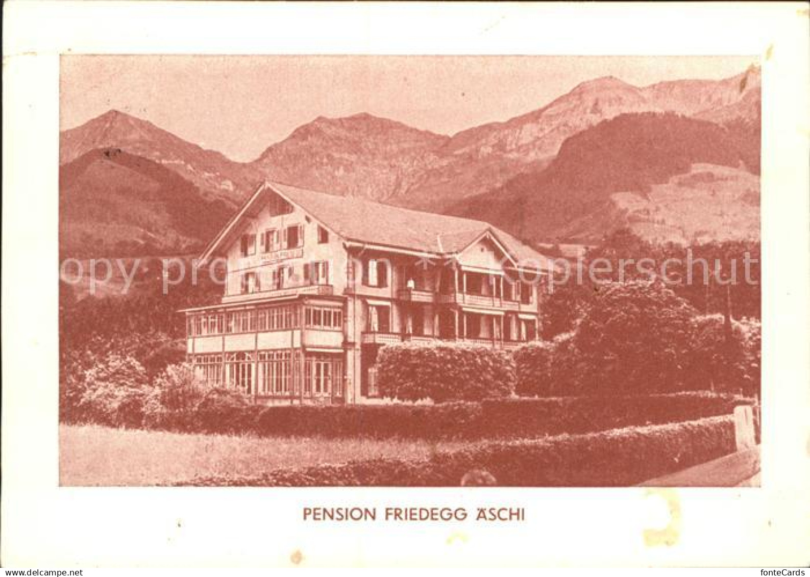 11625335 Aeschi Spiez Pension Friedegg aeschi