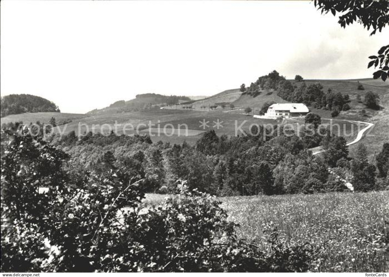 11625721 Balsthal Bergwirtschaft Alpenblick Brunnersberg Balsthal